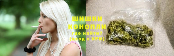 гидра Верея