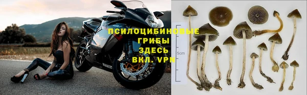 гидра Верея