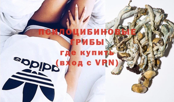 гидра Верея