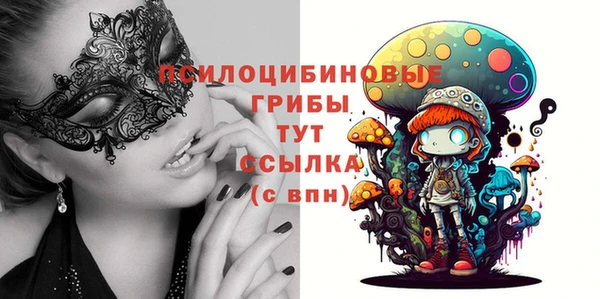 таблы Верхний Тагил