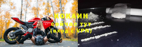 гидра Верея